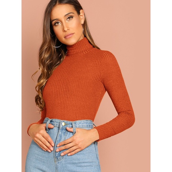 Shein Burnt Orange Turtleneck Crop 
